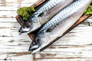 raw fish on table photo