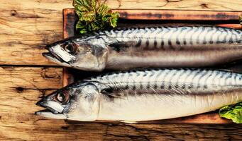 raw fish on table photo