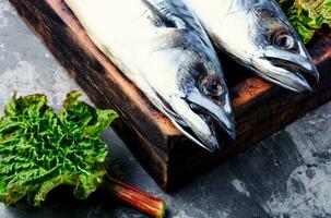 raw fish on table photo