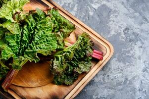 Bunch of fresh rhubarb photo