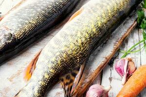 Fish pike on the kitchen board photo