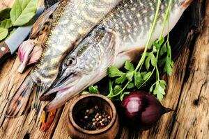 Fish pike on the kitchen board photo