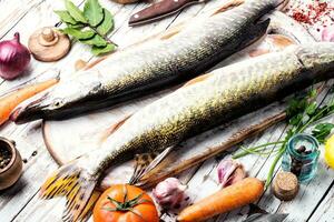 Fish pike on the kitchen board photo