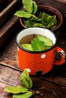 Cup of herbal tea with bay leaf photo