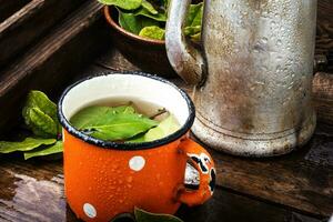 Cup of herbal tea with bay leaf photo