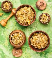 Dried calendula flowers photo