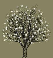 Tree silhouette with white flowers vector