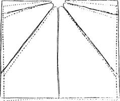 Timber size rectangle at the time of slaughter, Wood deformed by desiccation, vintage engraving. vector