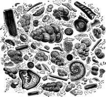 Fragment of chalk seen under a microscope, vintage engraving. vector