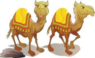 Two Camels, illustration vector