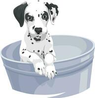 Vector of dalmation dog in bathtub.