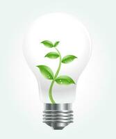 Vector of light bulb with green plant.