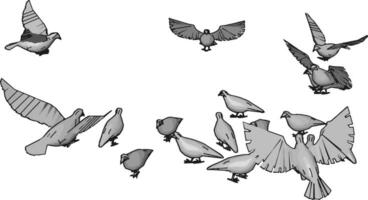 Birds in the sky, illustration, vector on white background.