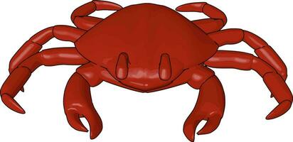 A red crab type of shellfish and seafood vector or color illustration