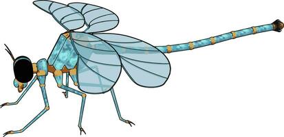 3D model of dragonfly, illustration, vector on white background.