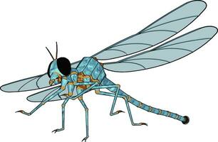 3D model of dragonfly, illustration, vector on white background.