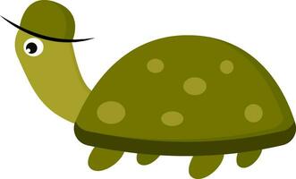 Tortoise with cap vector or color illustration
