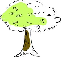 Tree sketch vector or color illustration