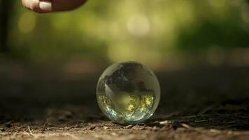 umano mani copertina un' bicchiere globo.terra giorno, Salva pianeta, Salva il mondo, amore natura. video