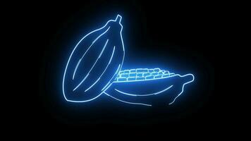 Animated cocoa fruit icon with a glowing neon effect.4k video quality