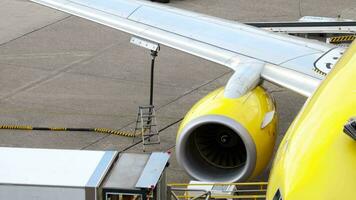 Düsseldorf, Deutschland Juli 23, 2017 Aufnahmen von ein Flugzeug Auftanken. Aussicht von das Terminal Fenster von ein tui fliegen Passagier Ebene, Vor Flug Bedienung video