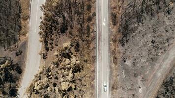Aerial View of Burned Forest and Road video