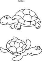 turtle icon line isolated on white backgroud. vector