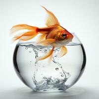 Goldfish in a bowl with water on white background. Studio shot. Generative AI photo