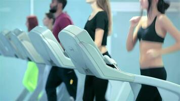 Sports people running on the treadmill video