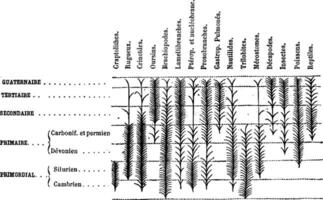 Development and change in primary animals through ages, vintage engraving. vector