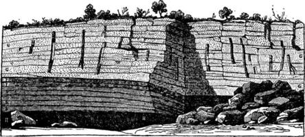 fósil arboles encontró en pie en el carbón minas de Santo Etienne, Clásico grabado. vector