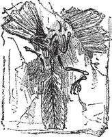 Fossil remains of a bird, Archaeopteryx lithographica of lithographic limestone of Solehofen, vintage engraving. vector