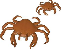 Lobster aquatic creature vector or color illustration