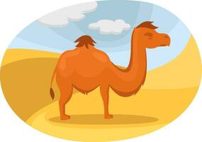 Camel in the desert, illustration, vector on a white background.