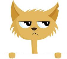 Angry cat with torn ear, vector color illustration.