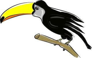 Bird with long yellow beak, vector color illustration.