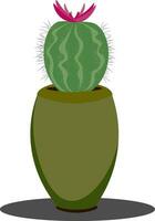 cactus en el floreciente etapa vector ilustración