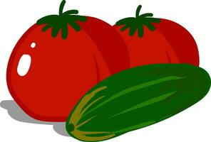 Fresh tomato and cucumber vector