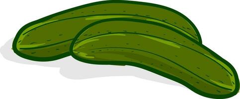 Two green cucumbers vector