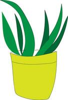 largo verde hoja planta en un maceta ilustración vector en blanco antecedentes