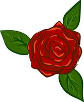 Rose illustration vector on white background