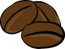 rich coffee bean vector or color illustration