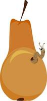 Pear with a worm vector or color illustration