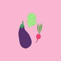 Summer vegetables vector or color illustration