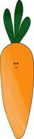 Fresh carrot vector or color illustration