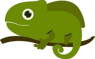 Chameleon on a tree vector or color illustration