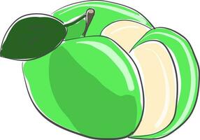 A cut green apple vector or color illustration