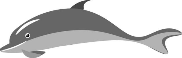 Dolphin vector or color illustration