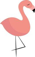 A standing flamingo vector or color illustration