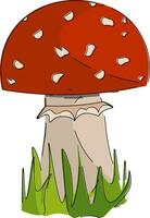 Agaric mushroom vector or color illustration